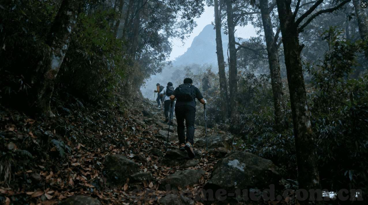 星空体育在线直播下载-星空体育，开启你的在线直播之旅